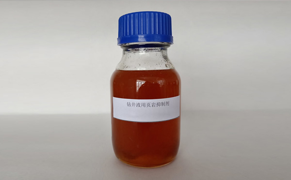 Shale inhibitor polyamine for drilling fluid